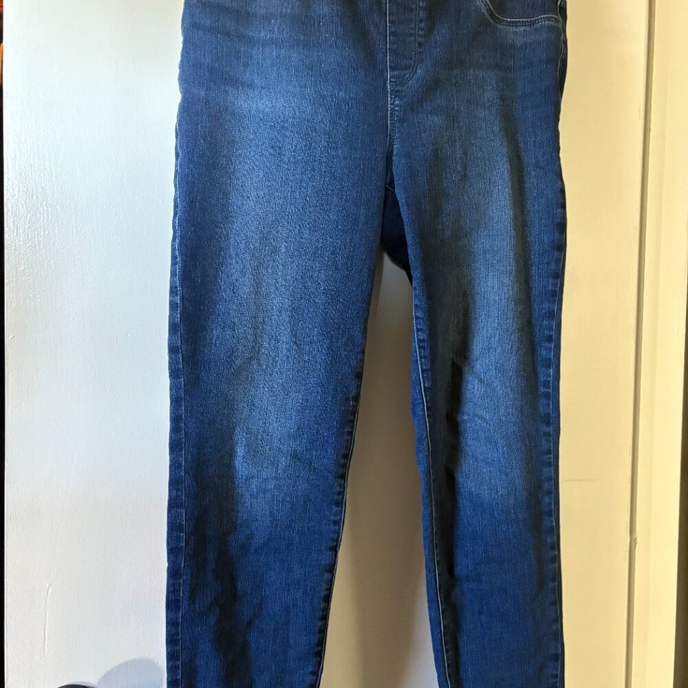 Talbots Jegging size 10 NWOT